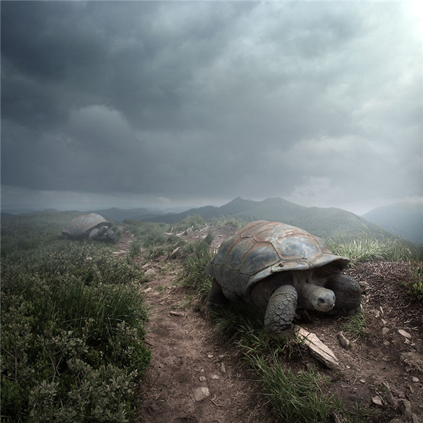 ���m���OӋ�����F��ˇ�g��Ʒ���p