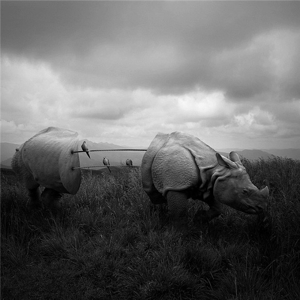 ���m���OӋ�����F��ˇ�g��Ʒ���p