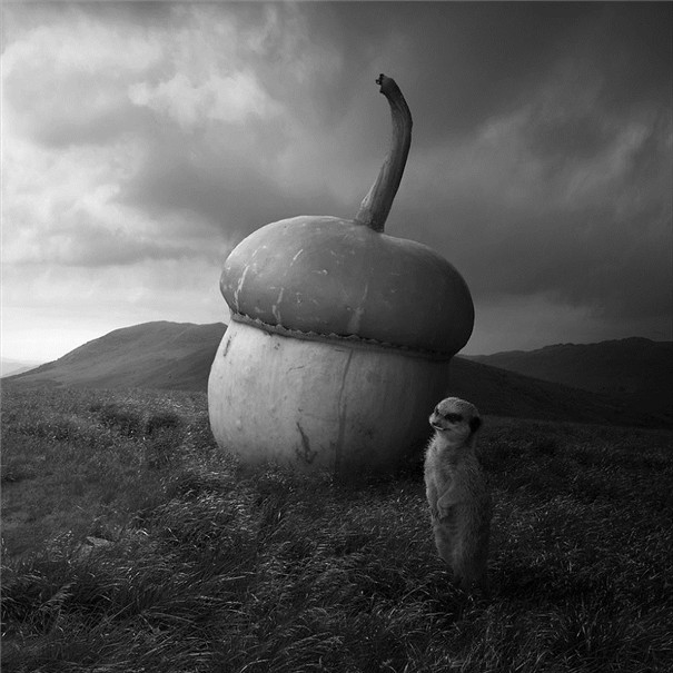 ���m���OӋ�����F��ˇ�g��Ʒ���p