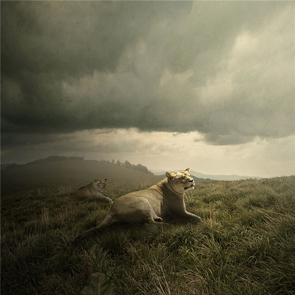 ���m���OӋ�����F��ˇ�g��Ʒ���p