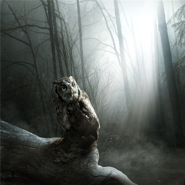 ���m���OӋ�����F��ˇ�g��Ʒ���p