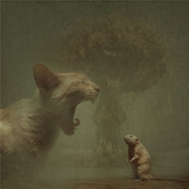 ���m���OӋ�����F��ˇ�g��Ʒ���p