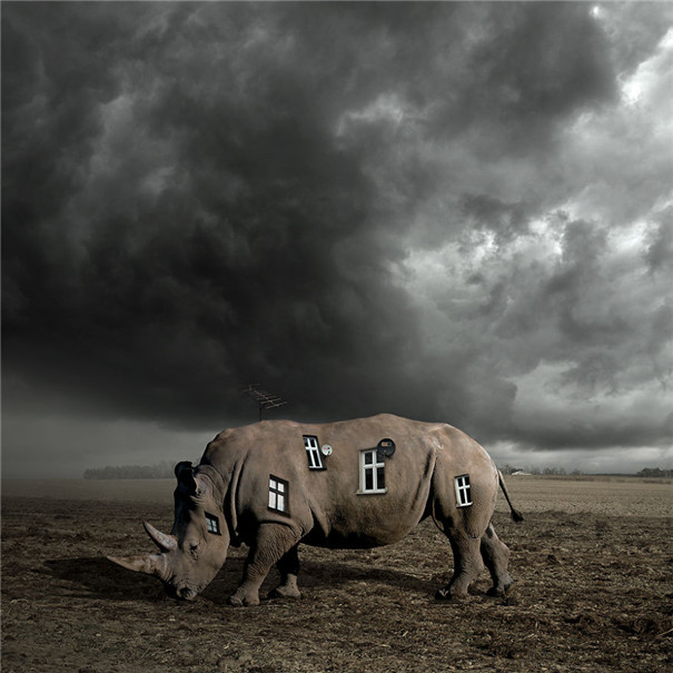 ���m���OӋ�����F��ˇ�g��Ʒ���p