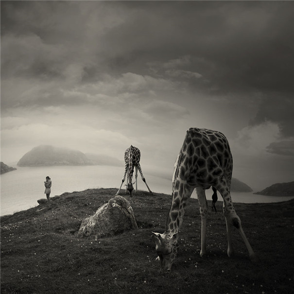 ���m���OӋ�����F��ˇ�g��Ʒ���p