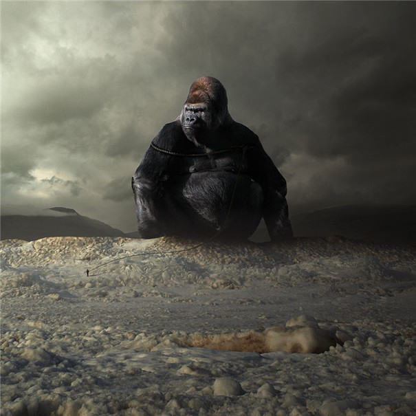 ���m���OӋ�����F��ˇ�g��Ʒ���p