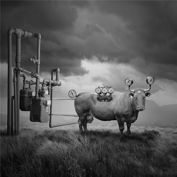 ���m���OӋ�����F��ˇ�g��Ʒ���p