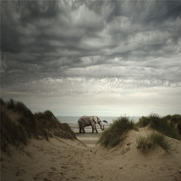 ���m���OӋ�����F��ˇ�g��Ʒ���p