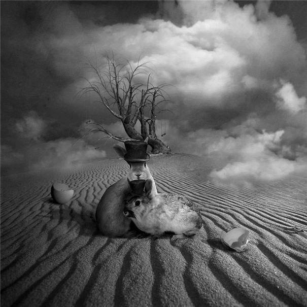 ���m���OӋ�����F��ˇ�g��Ʒ���p