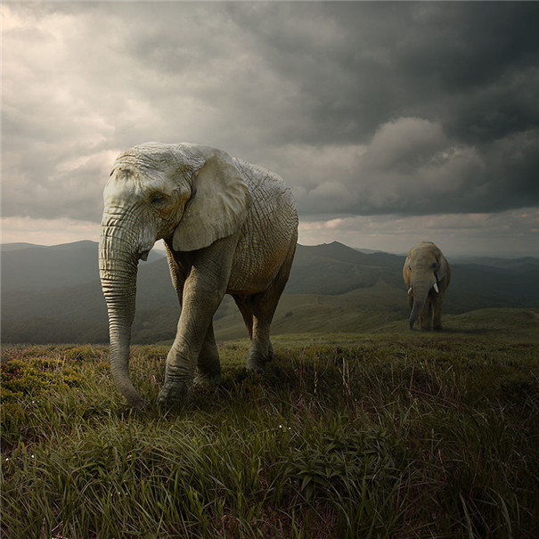 ���m���OӋ�����F��ˇ�g��Ʒ���p