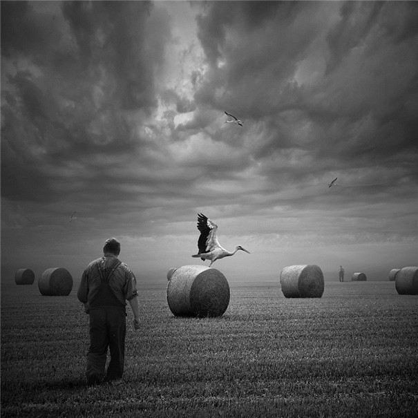 ���m���OӋ�����F��ˇ�g��Ʒ���p