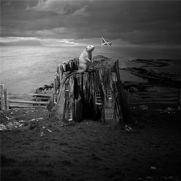 ���m���OӋ�����F��ˇ�g��Ʒ���p