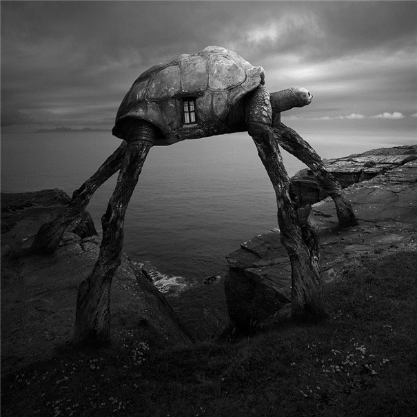 ���m���OӋ�����F��ˇ�g��Ʒ���p