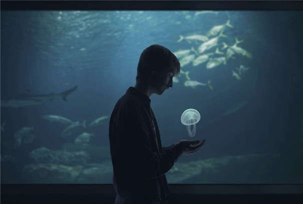 �X�����_�ĺ��ںϳ���Ʒ���p