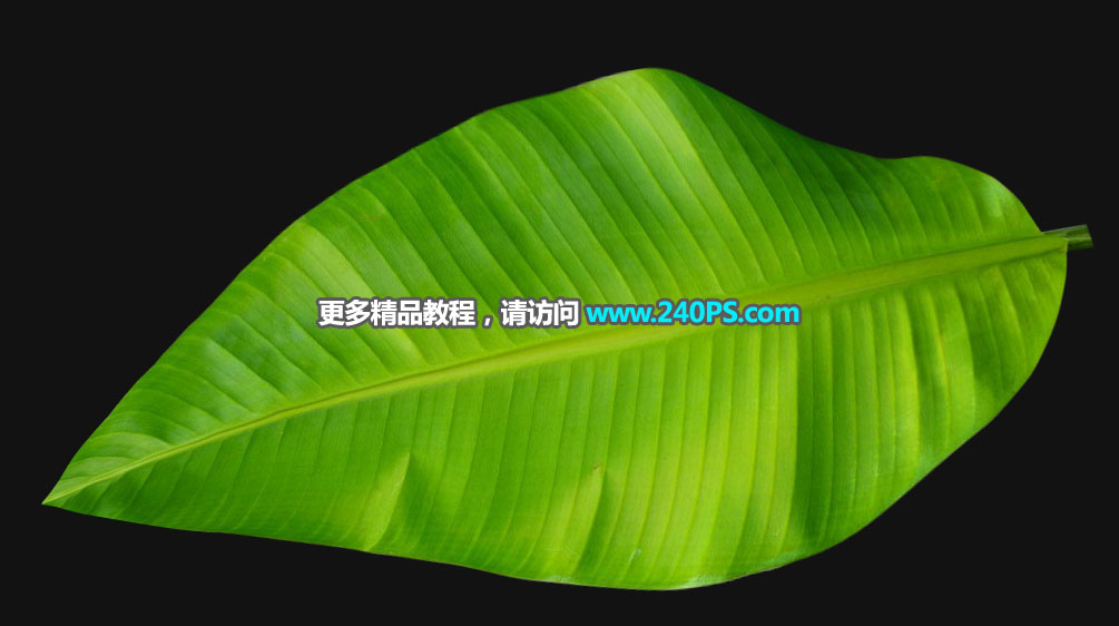 ��̺�����PS�OӋ���r���N����