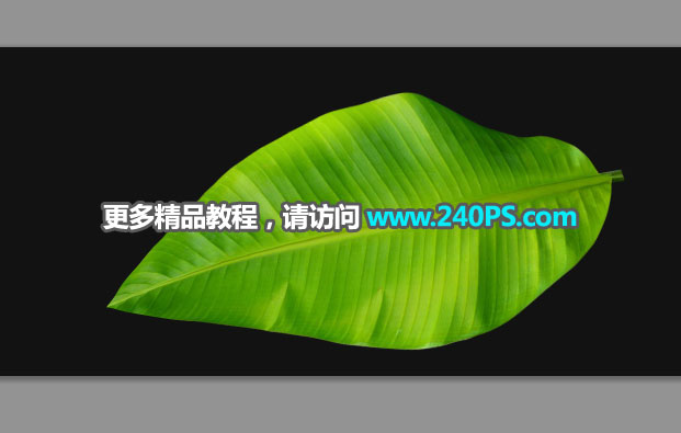 電商海報:用PS設計海鮮促銷海報