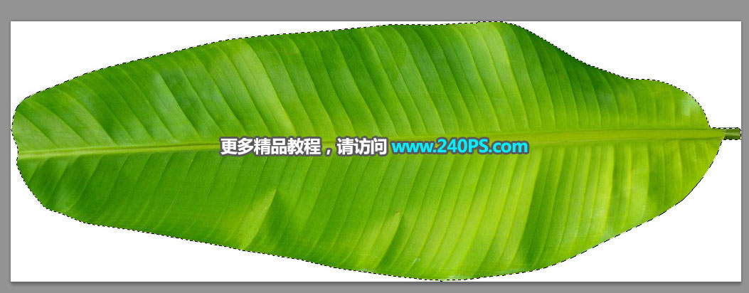 電商海報:用PS設計海鮮促銷海報