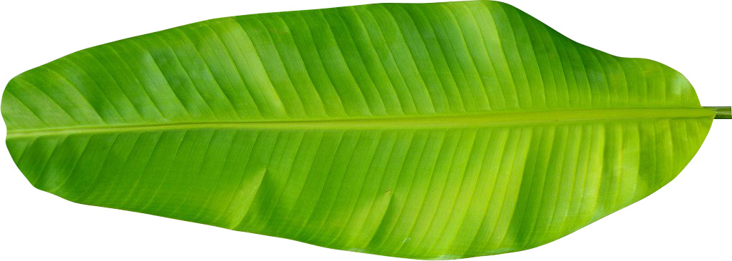 電商海報:用PS設計海鮮促銷海報