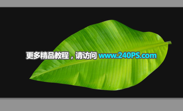 ��̺�����PS�OӋ���r���N����