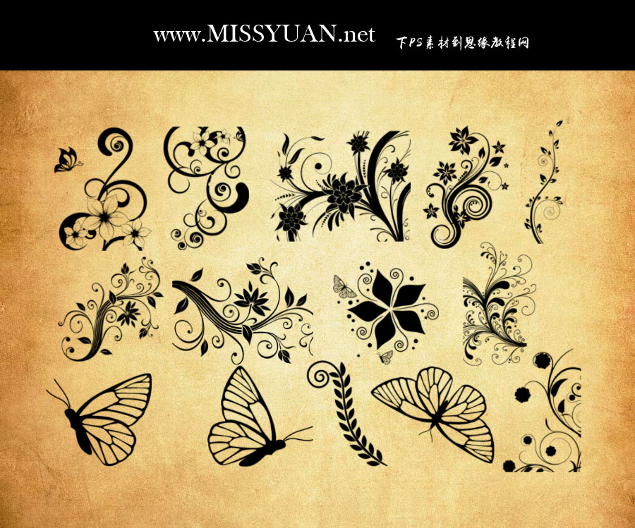 �r��ֲ�ﻨ�y�ͺ���PS�Pˢ