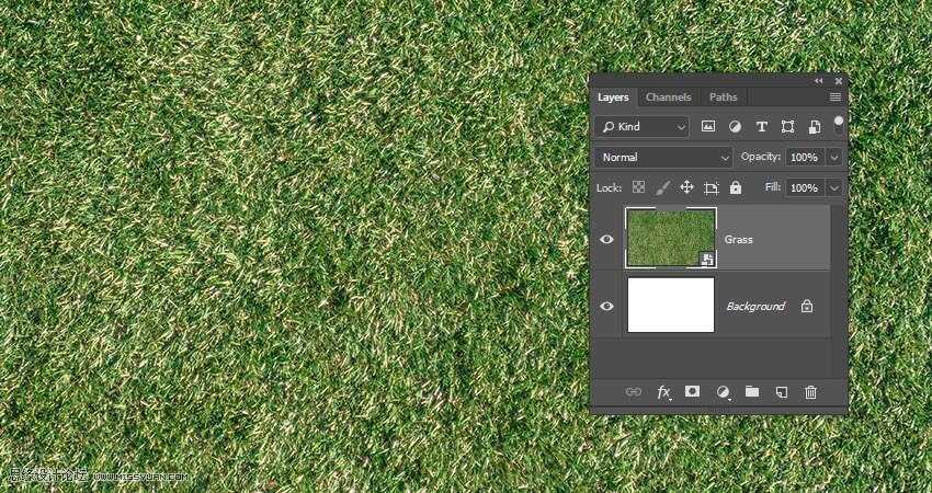 毛茸茸字體:用PS制作動物皮毛藝術字