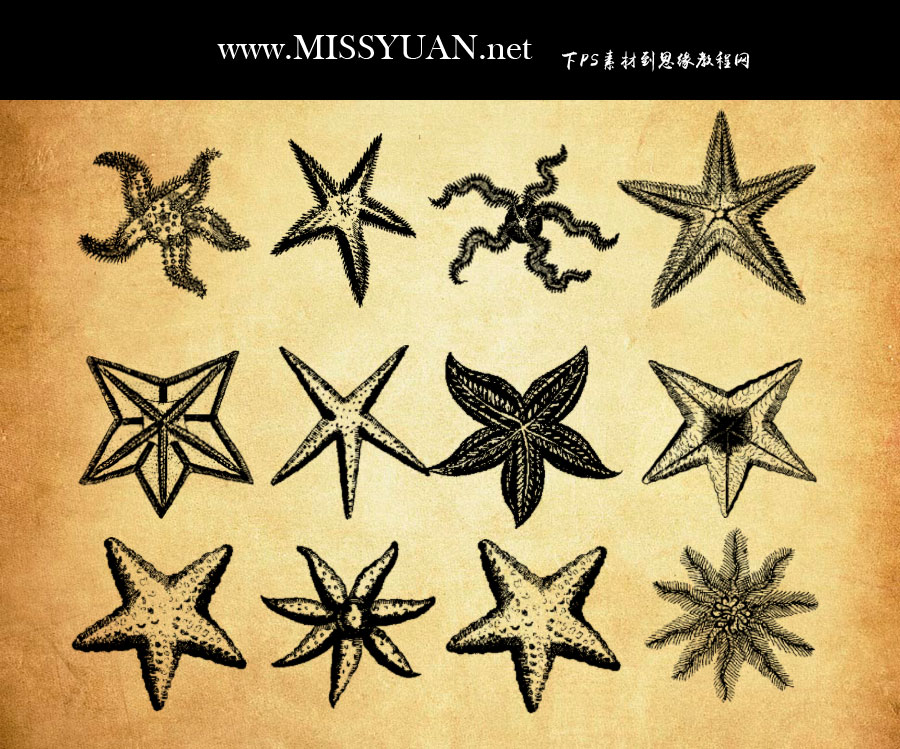 ���N����ĺ��ǈD��PS�Pˢ