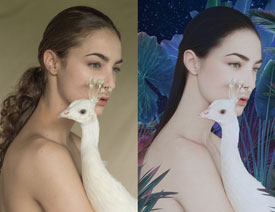 �zӰ������ǳ�����������ވD��Ʒ