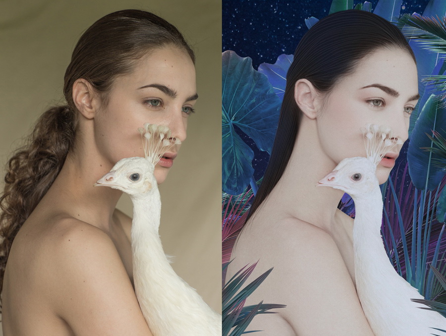 �zӰ������ǳ�����������ވD��Ʒ