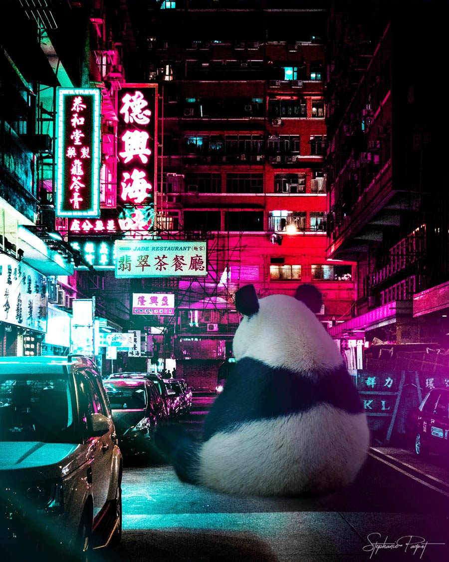 ��Ů�O(sh��)Ӌ����(chu��ng)��ďV����Ʒ�O(sh��)Ӌ���p