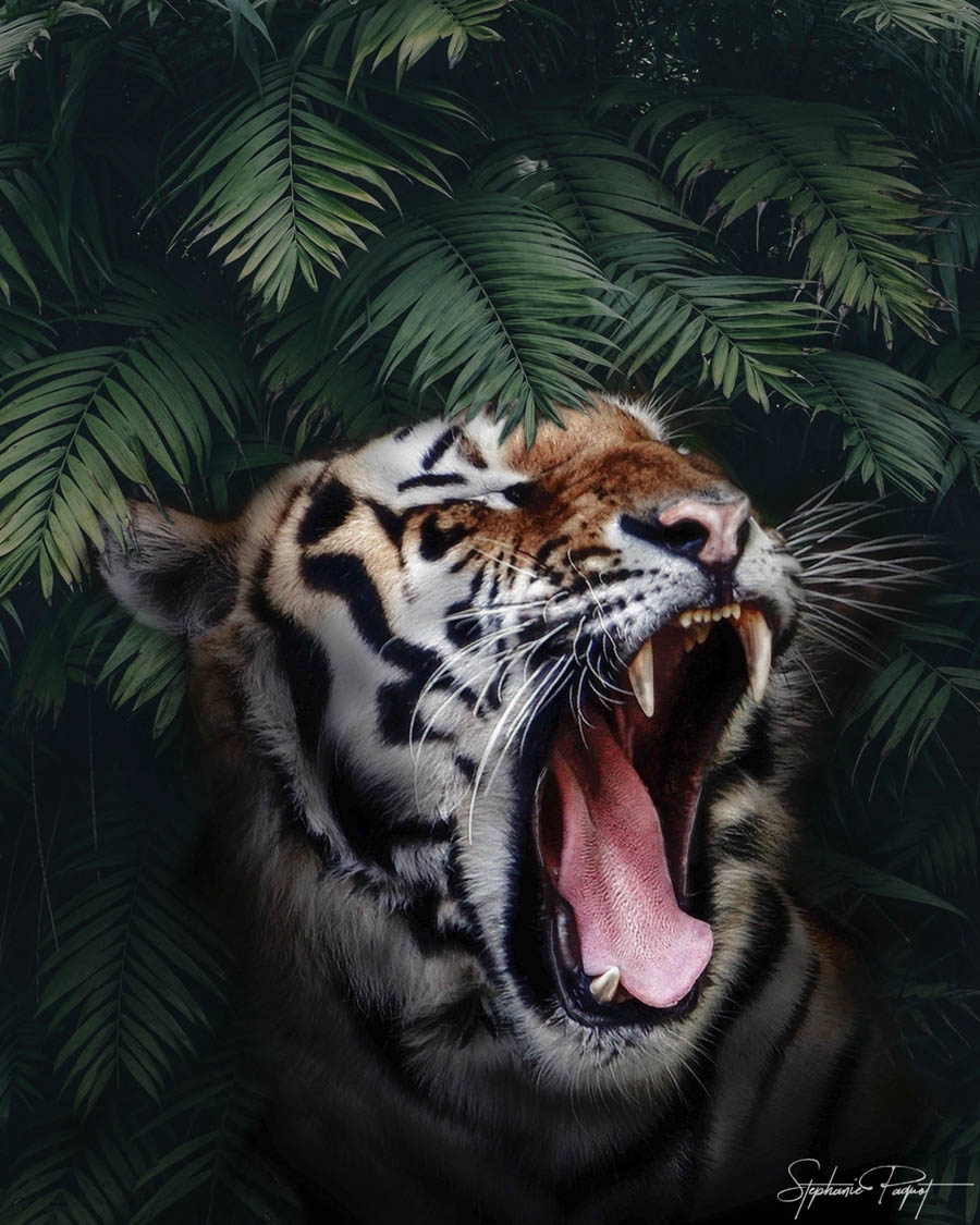 ��Ů�O(sh��)Ӌ(j��)����(chu��ng)��ďV����Ʒ�O(sh��)Ӌ(j��)���p