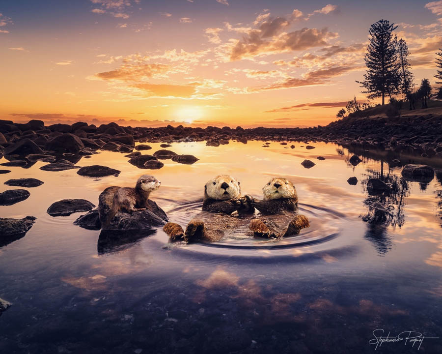 ��Ů�OӋ������ďV����Ʒ�OӋ���p