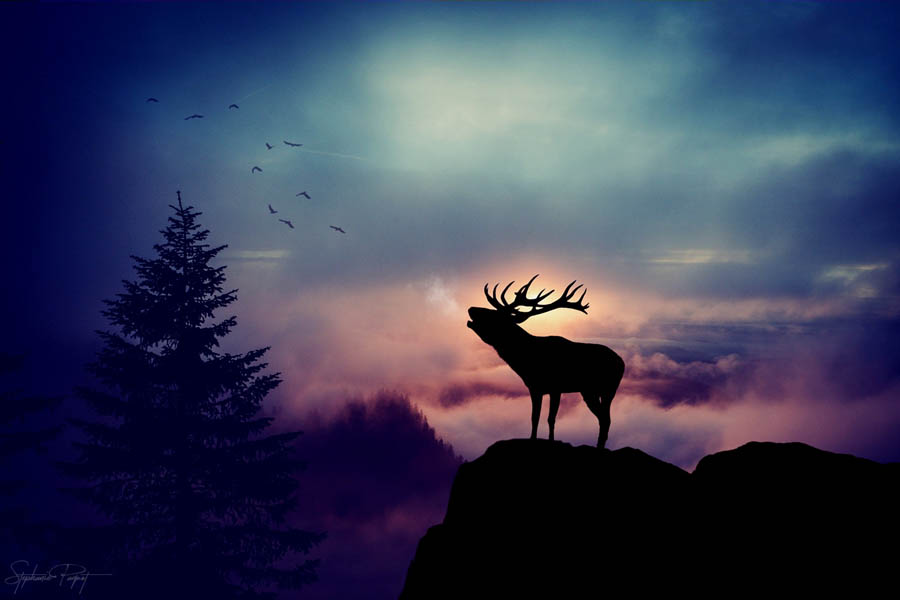 ��Ů�OӋ������ďV����Ʒ�OӋ���p