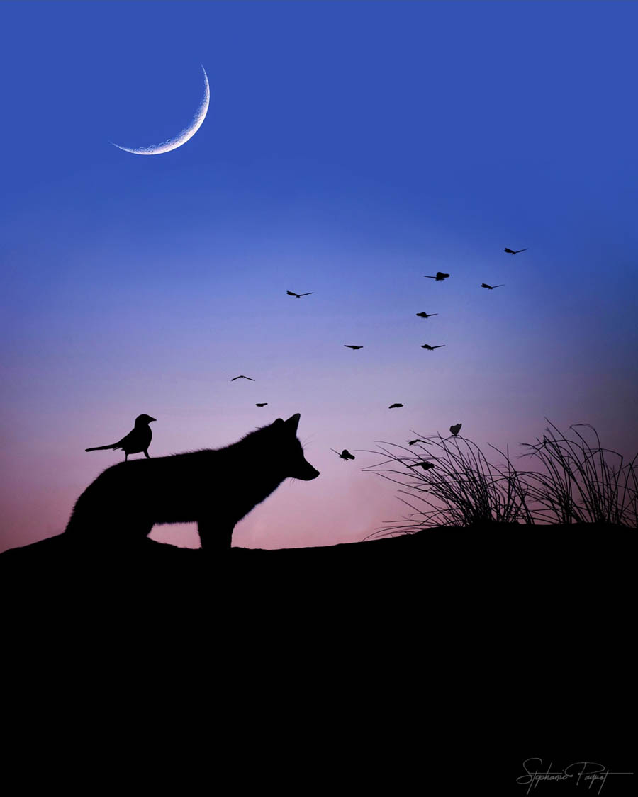 ��Ů�OӋ������ďV����Ʒ�OӋ���p