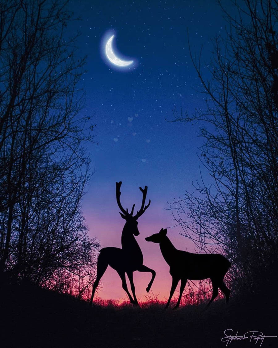 ��Ů�O(sh��)Ӌ(j��)����(chu��ng)��ďV����Ʒ�O(sh��)Ӌ(j��)���p