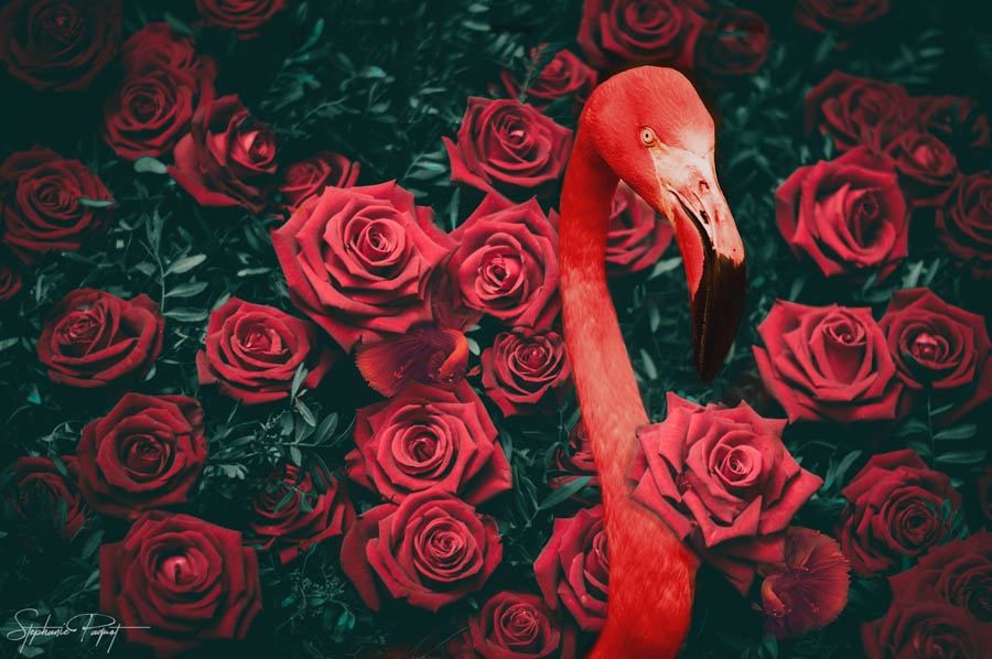 ��Ů�OӋ������ďV����Ʒ�OӋ���p