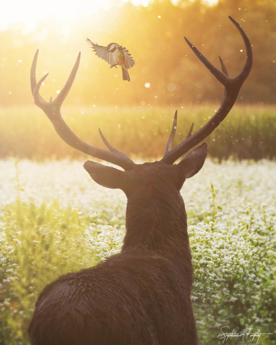 ��Ů�OӋ������ďV����Ʒ�OӋ���p