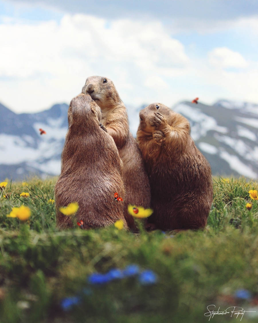 ��Ů�OӋ����(chu��ng)��ďV����Ʒ�OӋ���p