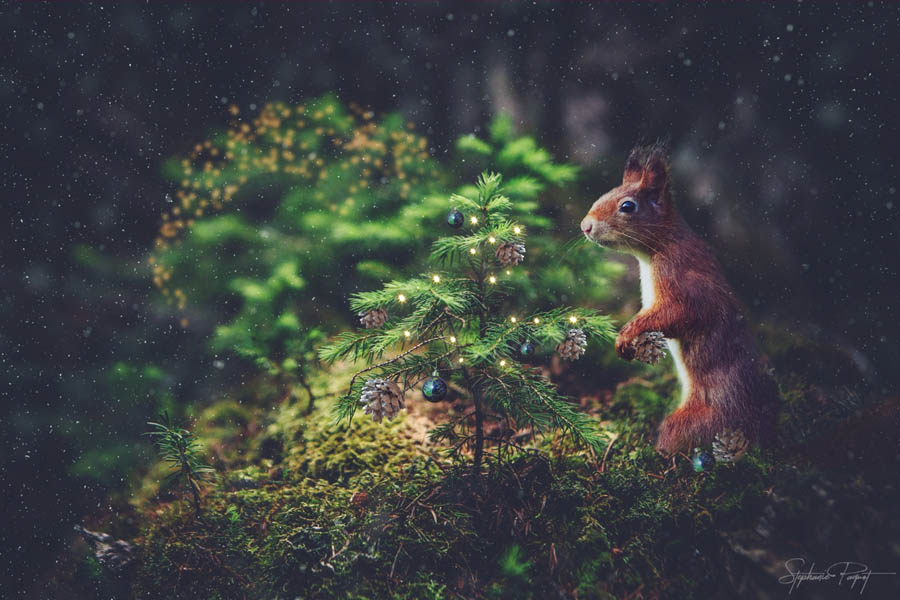 ��Ů�OӋ������ďV����Ʒ�OӋ���p