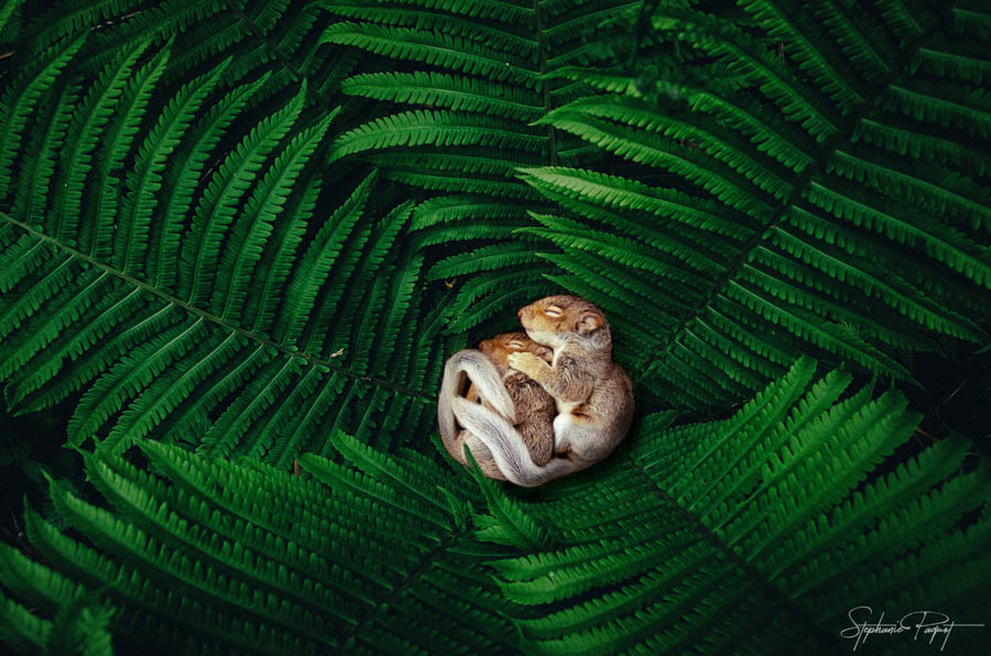 ��Ů�OӋ������ďV����Ʒ�OӋ���p