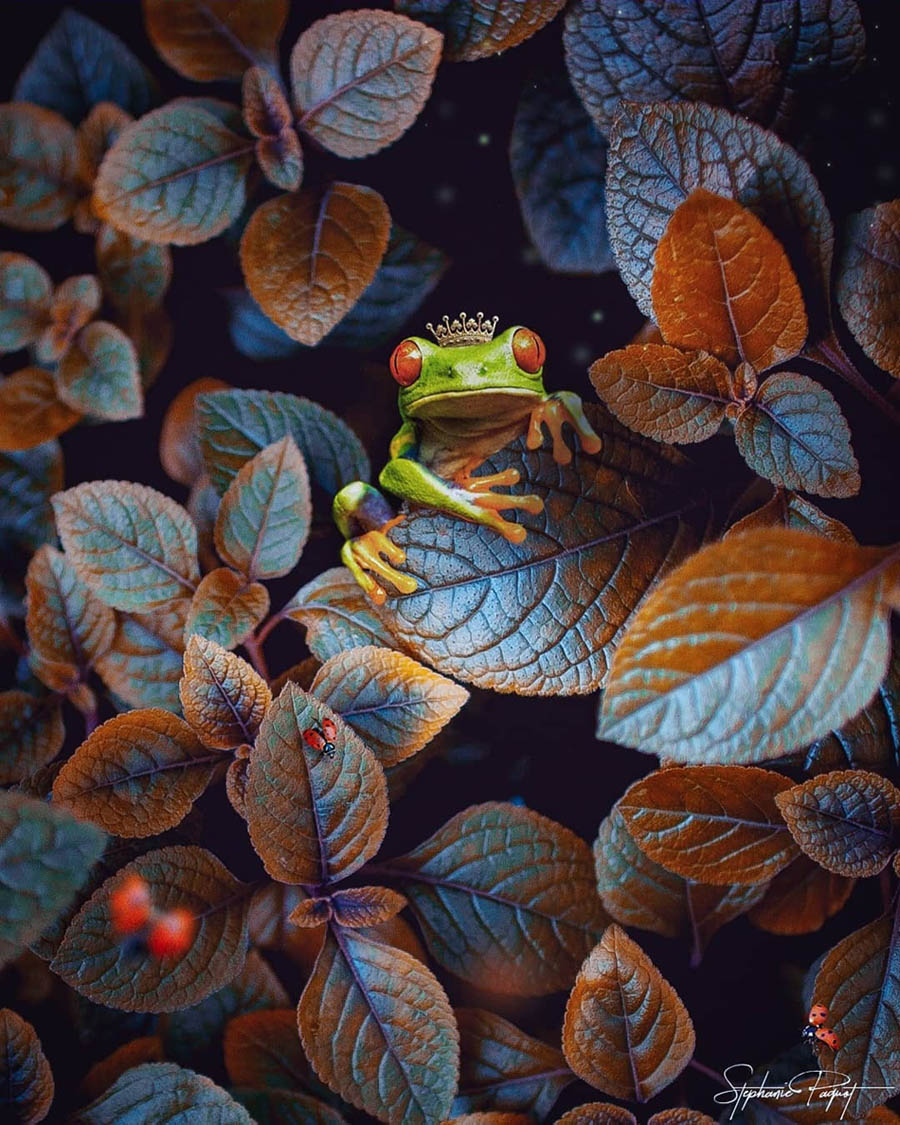 ��Ů�OӋ������ďV����Ʒ�OӋ���p