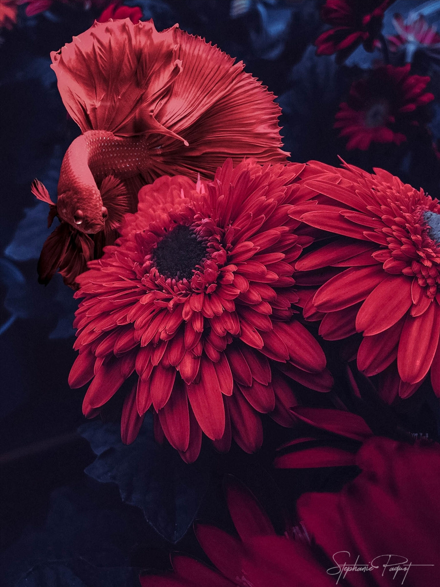 ��Ů�O(sh��)Ӌ����(chu��ng)��ďV����Ʒ�O(sh��)Ӌ���p