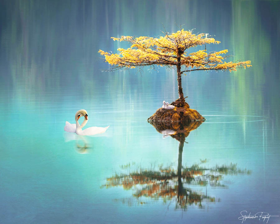 ��Ů�OӋ������ďV����Ʒ�OӋ���p