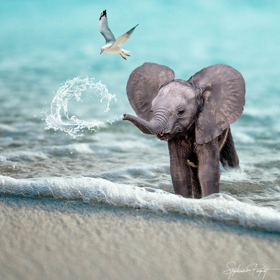 ��Ů�O(sh��)Ӌ(j��)����(chu��ng)��ďV����Ʒ�O(sh��)Ӌ(j��)���p