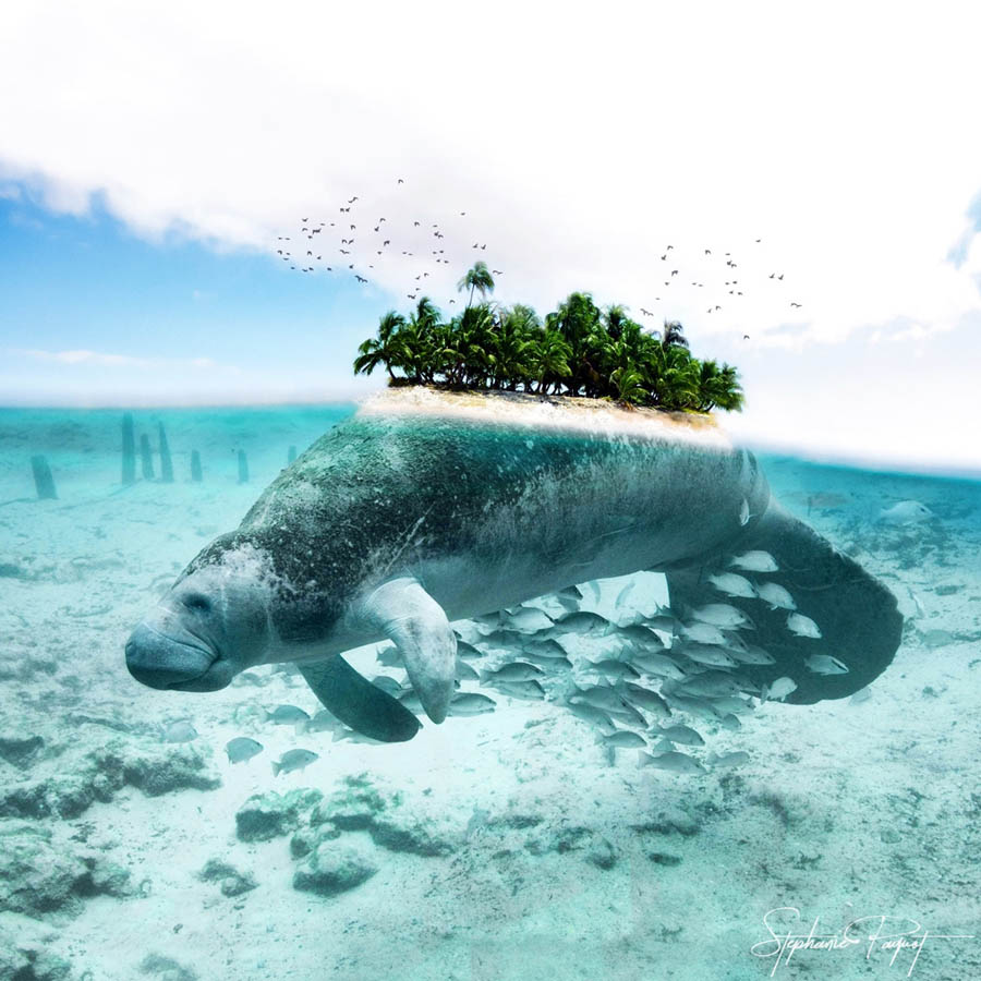 ��Ů�OӋ������ďV����Ʒ�OӋ���p