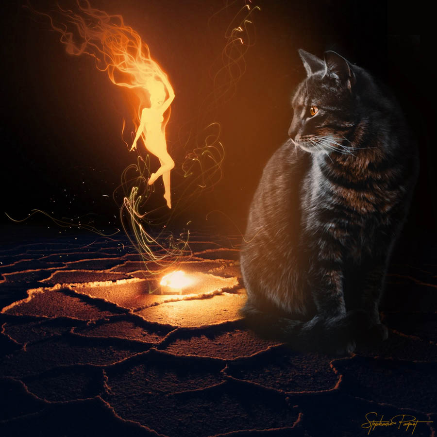 ��Ů�OӋ������ďV����Ʒ�OӋ���p