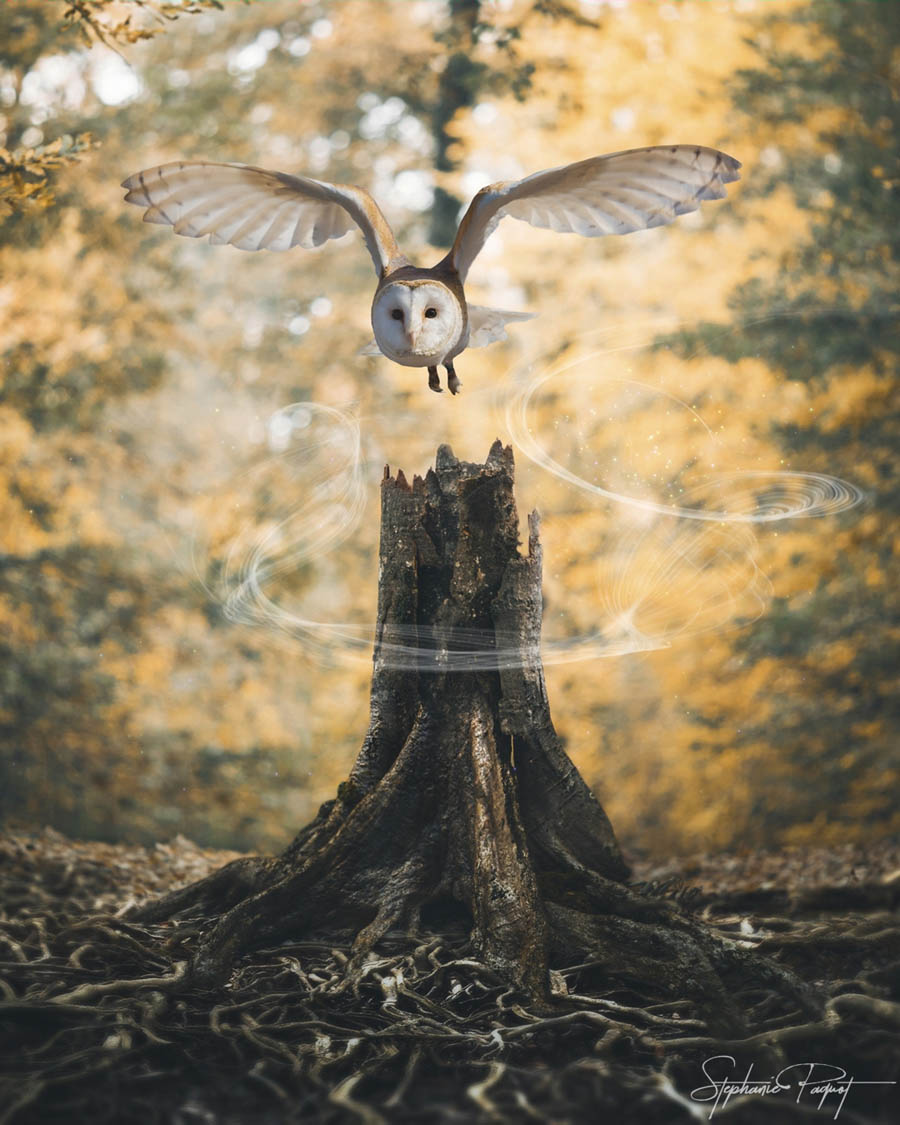 ��Ů�OӋ������ďV����Ʒ�OӋ���p