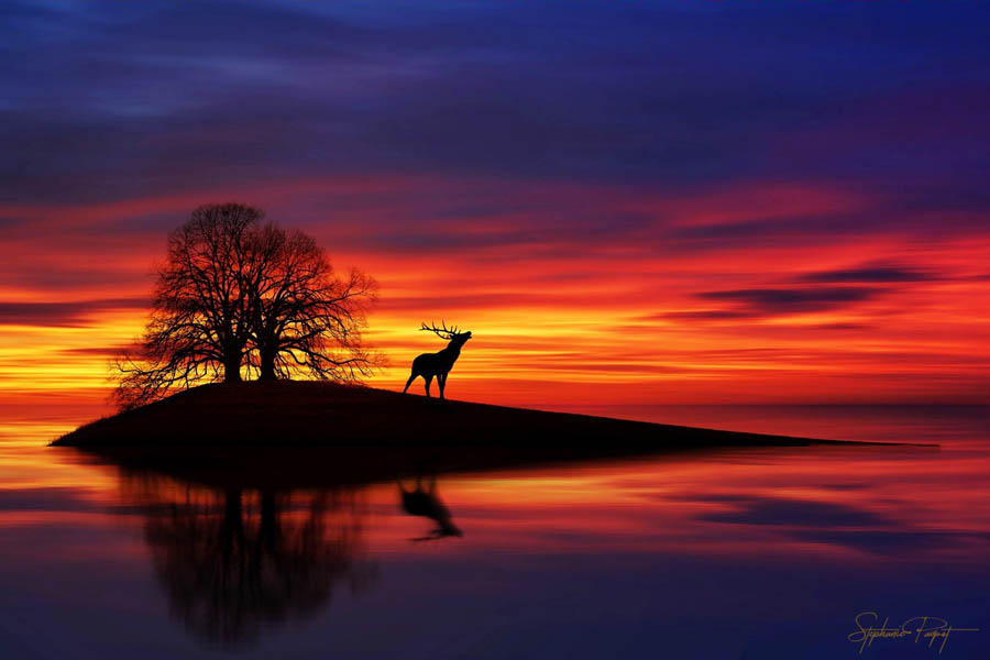 ��Ů�O(sh��)Ӌ(j��)����(chu��ng)��ďV����Ʒ�O(sh��)Ӌ(j��)���p