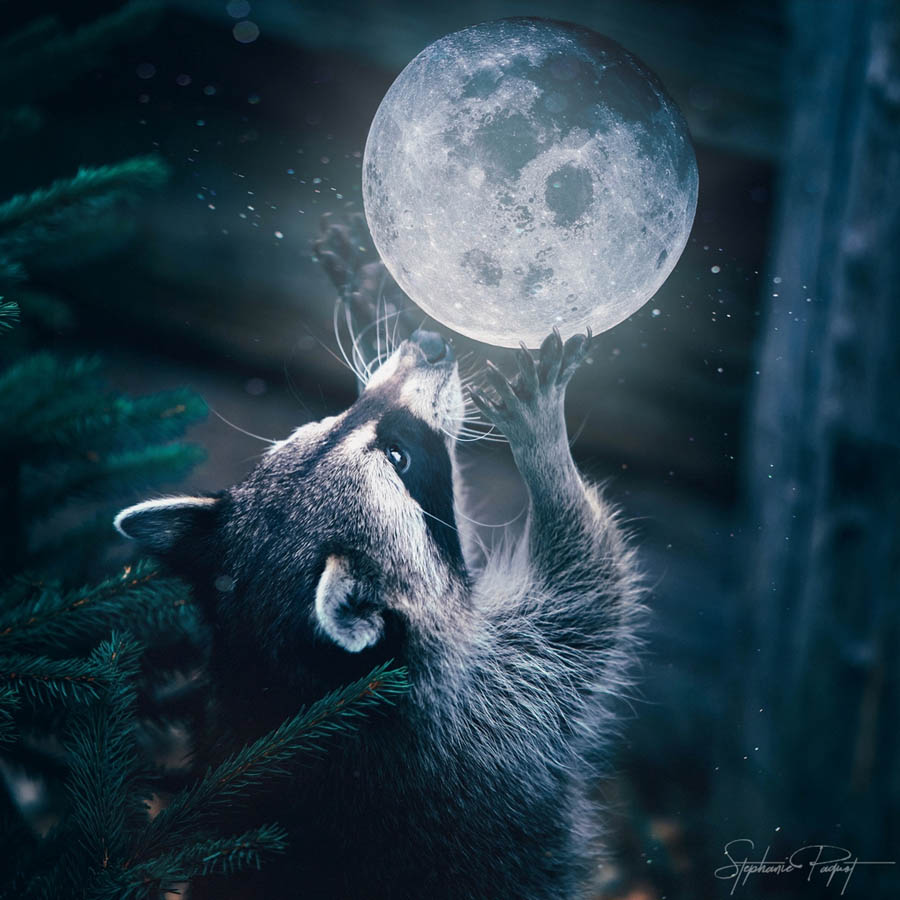 ��Ů�OӋ������ďV����Ʒ�OӋ���p