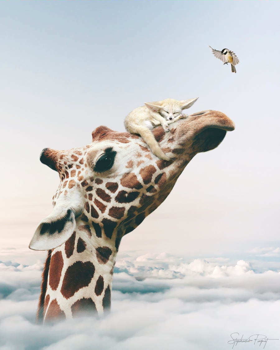 ��Ů�O(sh��)Ӌ(j��)����(chu��ng)��ďV����Ʒ�O(sh��)Ӌ(j��)���p