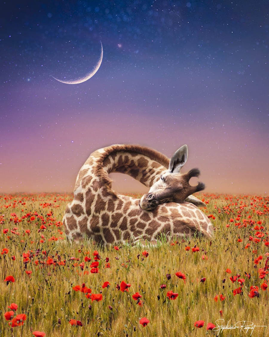 ��Ů�OӋ������ďV����Ʒ�OӋ���p