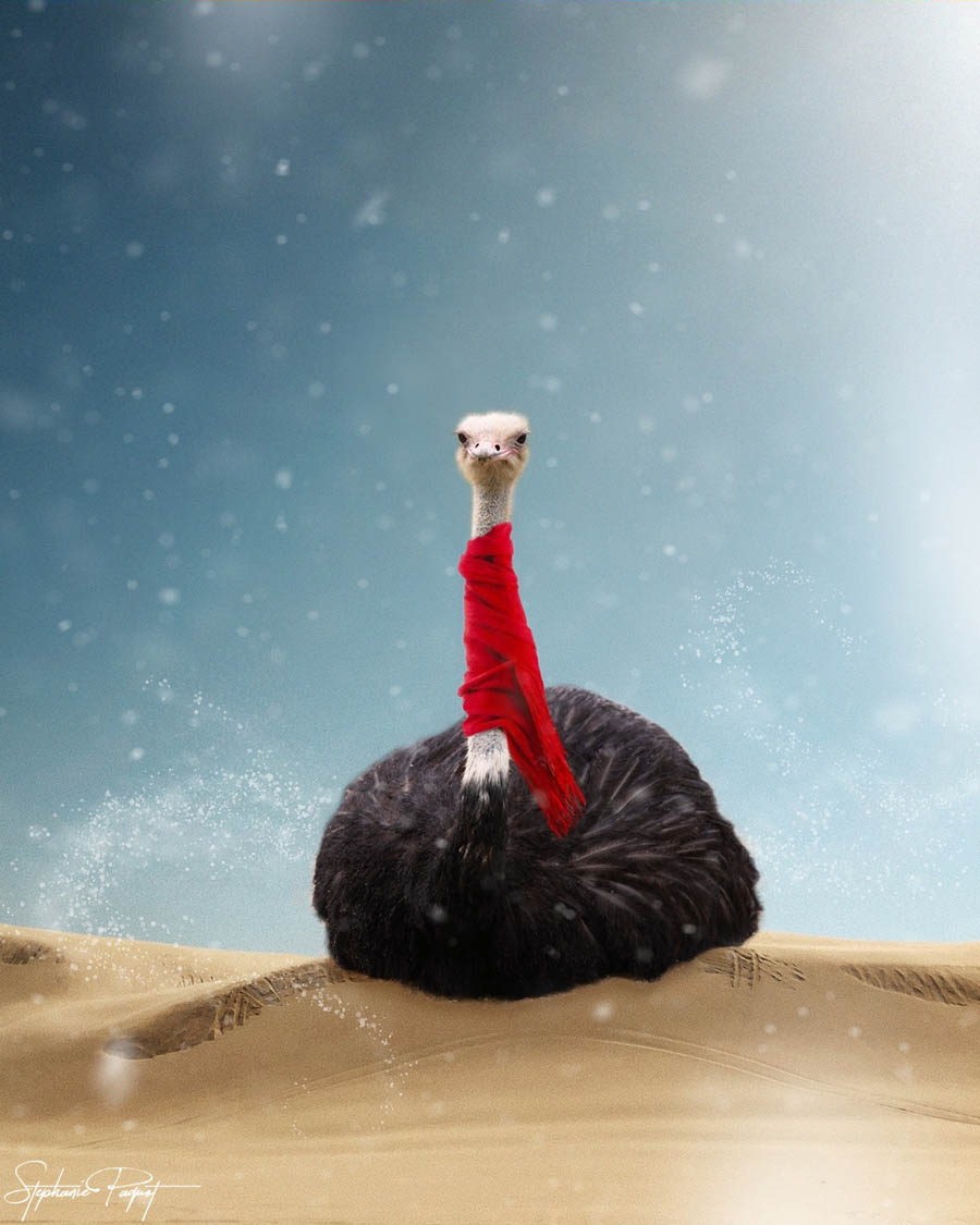 ��Ů�O(sh��)Ӌ(j��)����(chu��ng)��ďV����Ʒ�O(sh��)Ӌ(j��)���p